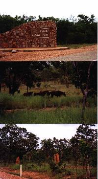 6-99 Kakadu