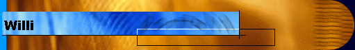  Willi 